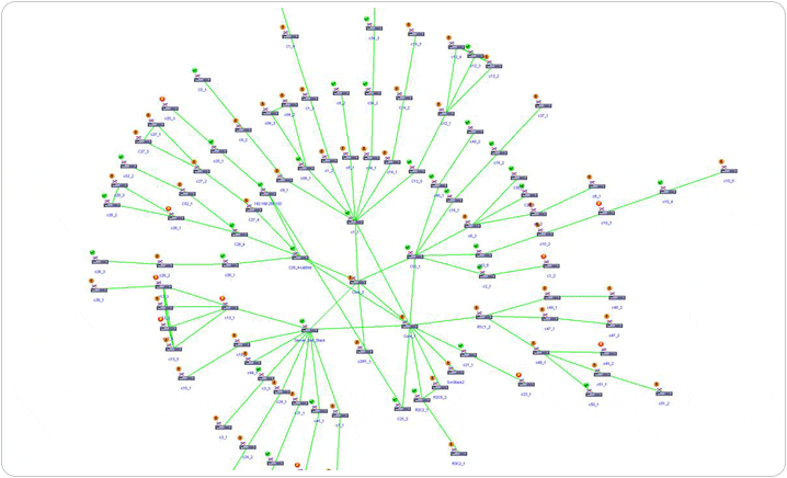 network-mapping